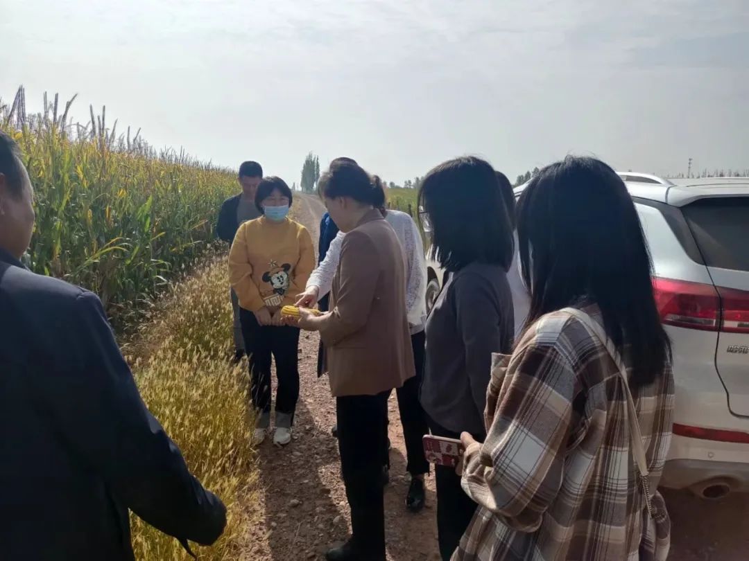 2.jpg 图片