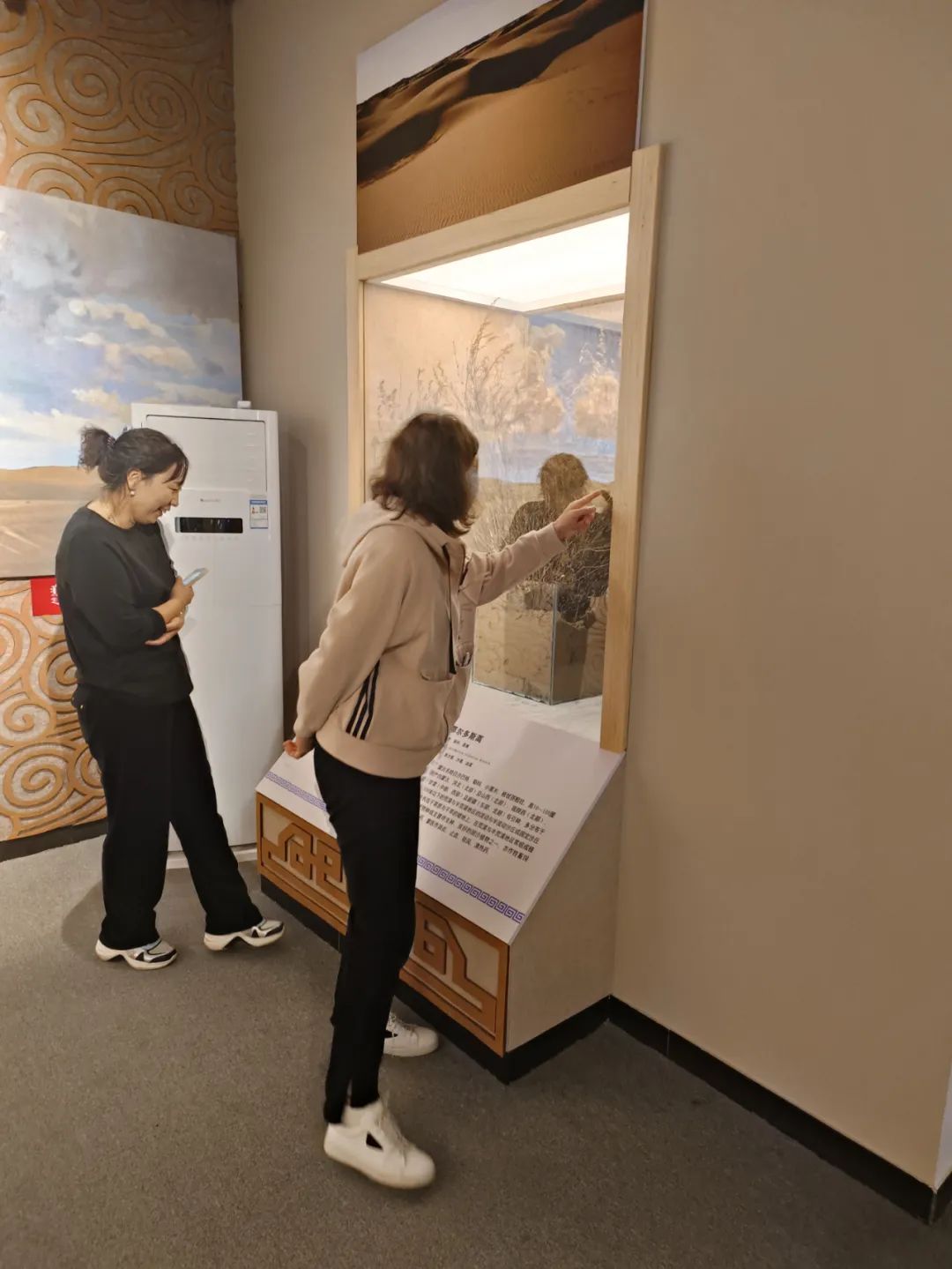 6.jpg 图片