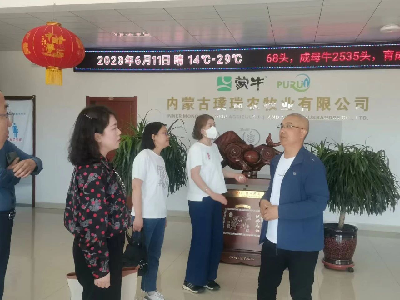 2.jpg 图片