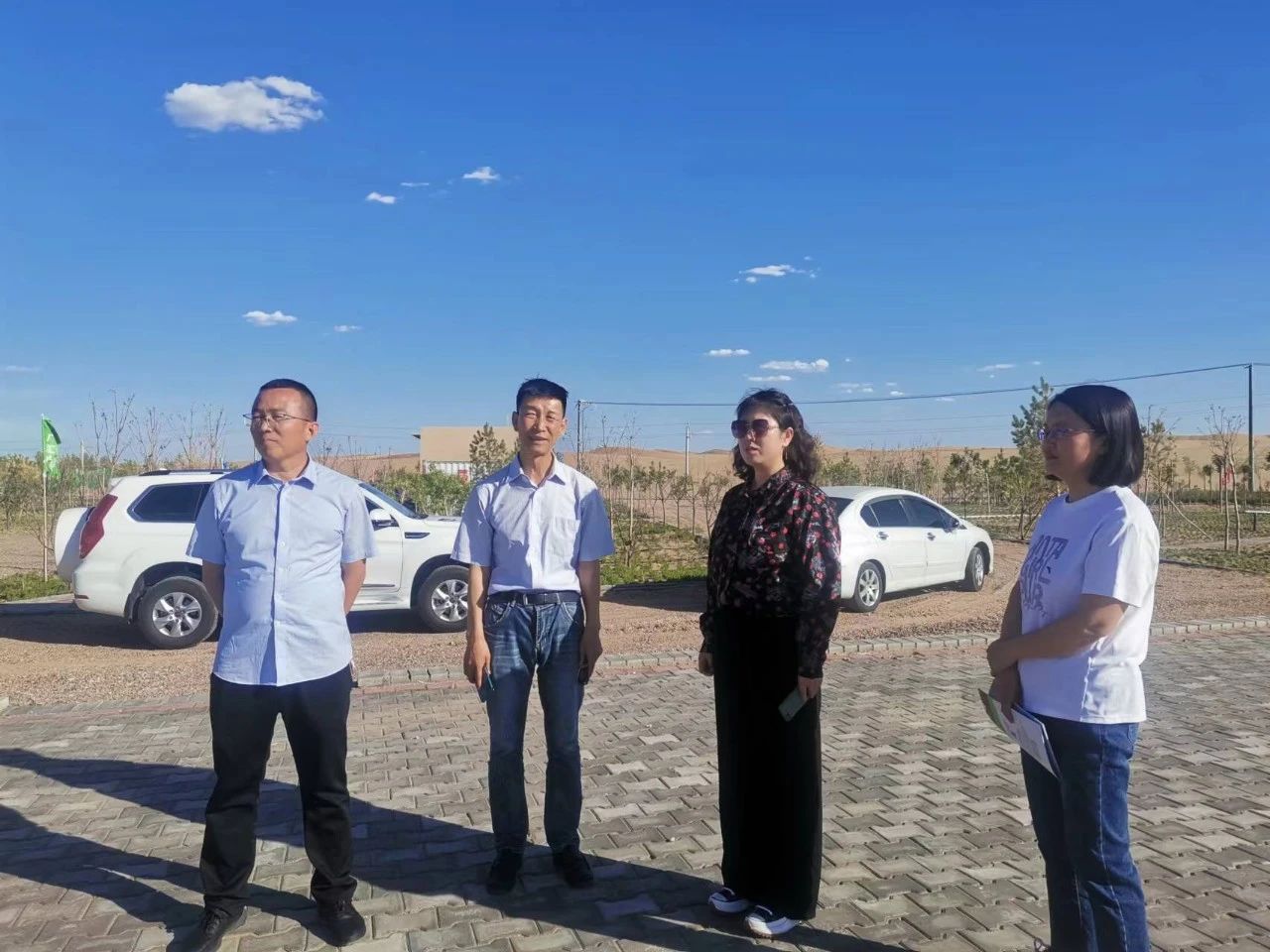 3.jpg 图片